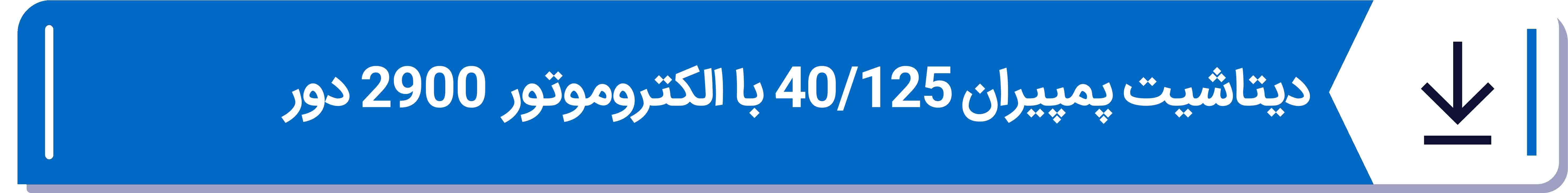 دیتاشیت پمپیران 40 -125 با الکتروموتور  2900 دور